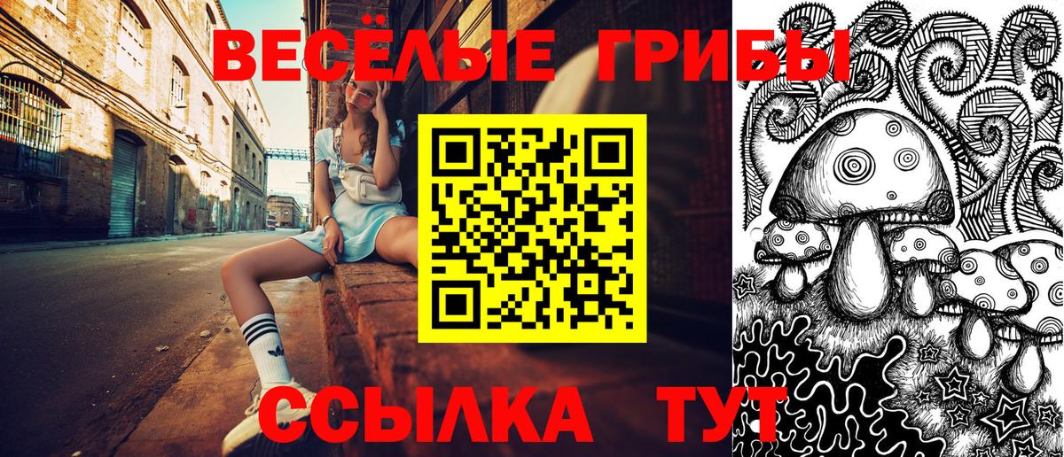 Симферополь  Псилоцибиновые грибы ЛСД  Вход с VPN 